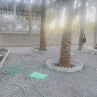 خانه باغ همکف|اجارهٔ خانه و ویلا|بم, |دیوار