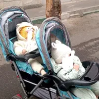 کالسکه دوقلو ایونفلو