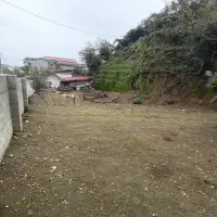 عباس آباد/سند تک برگ/300متر/مسکونی/اعیان نشین