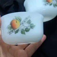 ظروف آرکوپال اصل  گل میوه ترشی خوری کمیاب فرانسه