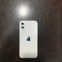 iPhone 12 normal|موبایل|مشهد, سعد آباد|دیوار