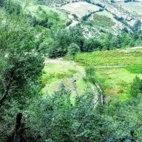 زمین-200-متری-درکوشک-زر