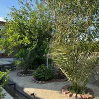 ویلا باغ اجاره ای  چهاراسیاب|اجارهٔ کوتاه‌مدت ویلا و باغ|بهبهان, |دیوار