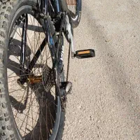 دوچرخه۲۶ویوا اکسیژن اورجینال|دوچرخه، اسکیت، اسکوتر|اردبیل, |دیوار