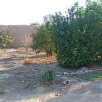 خانه قدیمی  ۶۱۸متر|فروش خانه و ویلا|پیر بکران, |دیوار