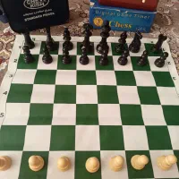 شطرنج فدراسیونی مدل.Chess