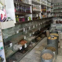 دوعدد مغازه باهم