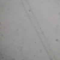 دوعدد سیم سیار ۲۰متری ۲نیم ویک نیم