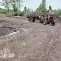 خاک‌ و شن درختمتیم