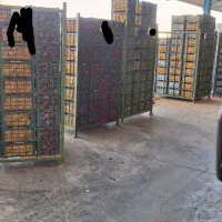 راننده لیفتراک و ریچتراک با گواهینامه هستم|خدمات حمل و نقل|اصفهان, کارلادان|دیوار