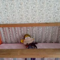 تخت خواب کودک|تخت و سرویس خواب|سرپل ذهاب, |دیوار