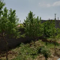 باغچه-480-متری-ملکی