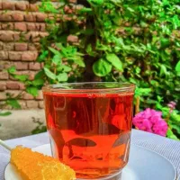 راهنمایی میکنم