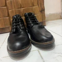 نیم بوت مردانه|کیف، کفش، کمربند|رشت, دیانتی|دیوار