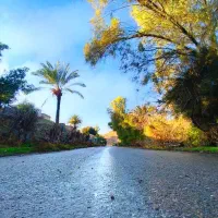 زمین-مسکونی-باباکلان