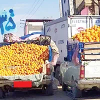 وانت با راننده ، نیسان ، مشارکت ، ایسوزو|استخدام حمل و نقل|تهران, میدان میوه و تره‌بار مرکزی|دیوار