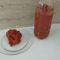 رب خانگی