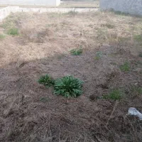 فروش-زمین-مسکونی-آقا-سید-شریف