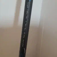 لنسر ماهیگیری