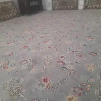 فرش کاشان ۷۰۰ شانه|فرش|تربتحیدریه, فرمانداری|دیوار