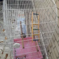 قفس سایزبزرگ 5درب پرنده|لوازم جانبی حیوانات|اهواز, بهارستان|دیوار
