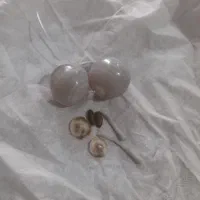 فروش مهره سلیمانی