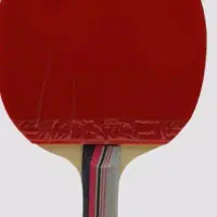 راکت پینگ پنگ دبل هپینس DHS دوستاره