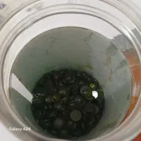 موم. وکس کواف پروفشنال|آرایشی، بهداشتی، درمانی|مرودشت, فرهنگ|دیوار