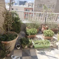 گلدان وگل طبیعی|گل و گیاه طبیعی|شیراز, چوگیاه‎|دیوار