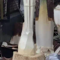 قطع نخل ودرخت درباغ ومنزل