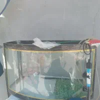آکواریوم