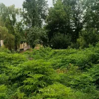 زمین-مسکونی-600متری-خوش-نقشه-مالفجان