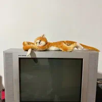 تلویزیون ۲۱اینچ سامسونک