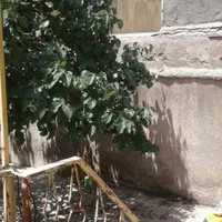 ویلایی بکر۲۰۰متر/جنوبی/عرض۱۰متر/۲طبقه پروانه تسویه|فروش خانه و ویلا|مشهد, نیروی هوایی|دیوار