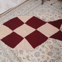 پادری ماهی