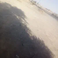 زمین تجاری به دو جادع اصلی|فروش مغازه و غرفه|نرماشیر, |دیوار