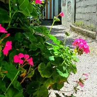 سوئیت ساحلی دربست، پارکینگ