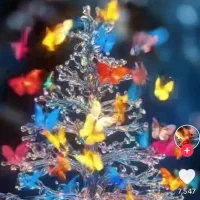 همراه بیمار و سالمند خانم روز و شب