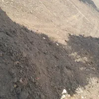 فروش کود حیوانی عالی|خدمات باغبانی و درختکاری|کنگاور, |دیوار