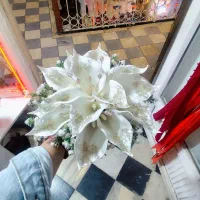 دسته گل عروس