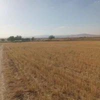 زمین کشاورزی،باغ،سوله