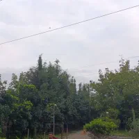 کلبه سوئیسی جنگلی ۱ خوابه. ویو ابدی رویایی، بهشت|اجارهٔ کوتاهمدت ویلا و باغ|عباسآباد, |دیوار