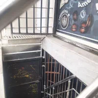 طبقه پایین بلوارخامنه ای کوچه ۴۰