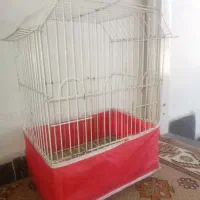 قفس سالم
