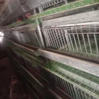 قفس دو طرفه ۴طبقه کبک و بلدرچین ومرغ