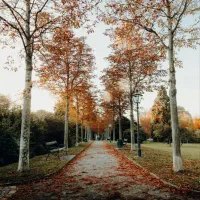 تخریب کلی و جزئی