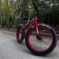 دوچرخه ساحلی لاستیک پهن|دوچرخه، اسکیت، اسکوتر|اصفهان, باغ زیار|دیوار