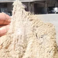 پشم‌ سفید درجه ۱