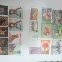 دوتاالبوم بزرگ تمبرفقط۱۵۰۰|کلکسیون سکه، تمبر، اسکناس|تهران, دولاب|دیوار