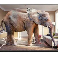 تلوزیون کیو ال ایدی ۵۰ اینج دنایی